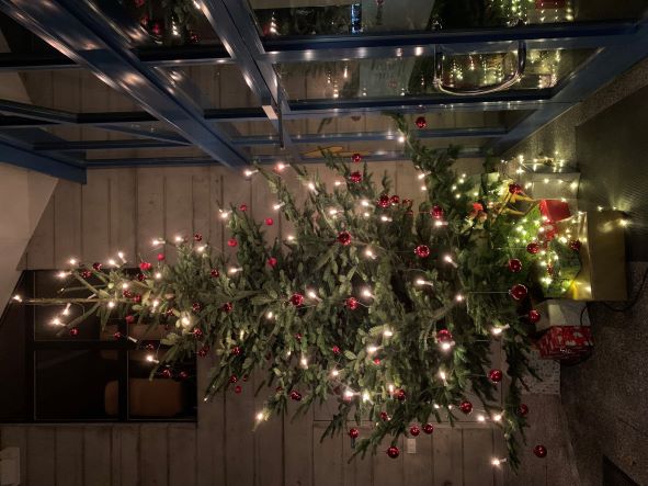 Weihnachtsbaum 2021